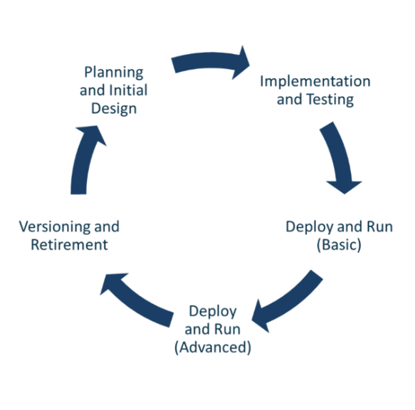 Life Cycle