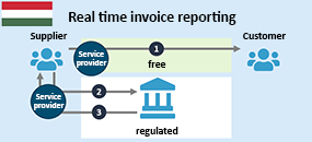 Real-time Invoice Reporting Model Real-time Invoice Reporting Model